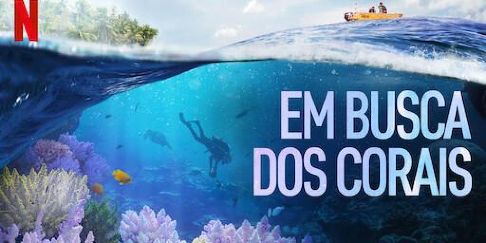 Em Busca dos Corais | Trailer oficial | 